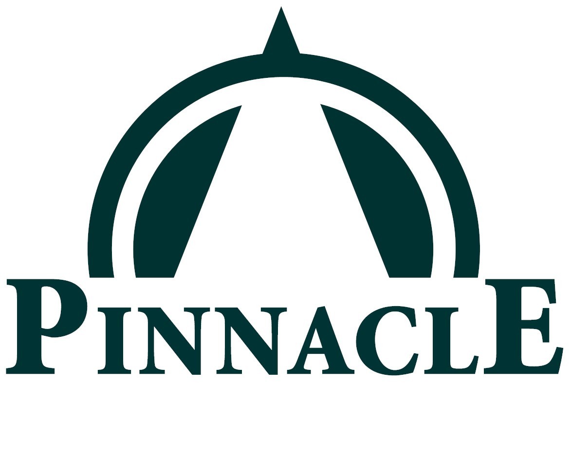 Professional Stamp Tongs with WIDE Straight Rounded Tip : 4 5/8" Long : #Pi13