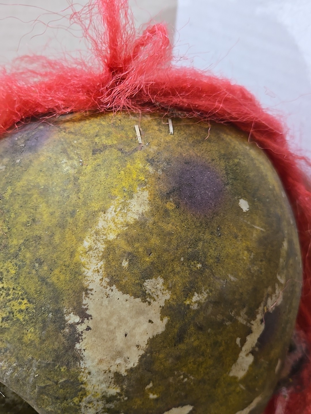 Life Size Decapitated Severed Realistic CLOWN HEAD Halloween Prop Decoration