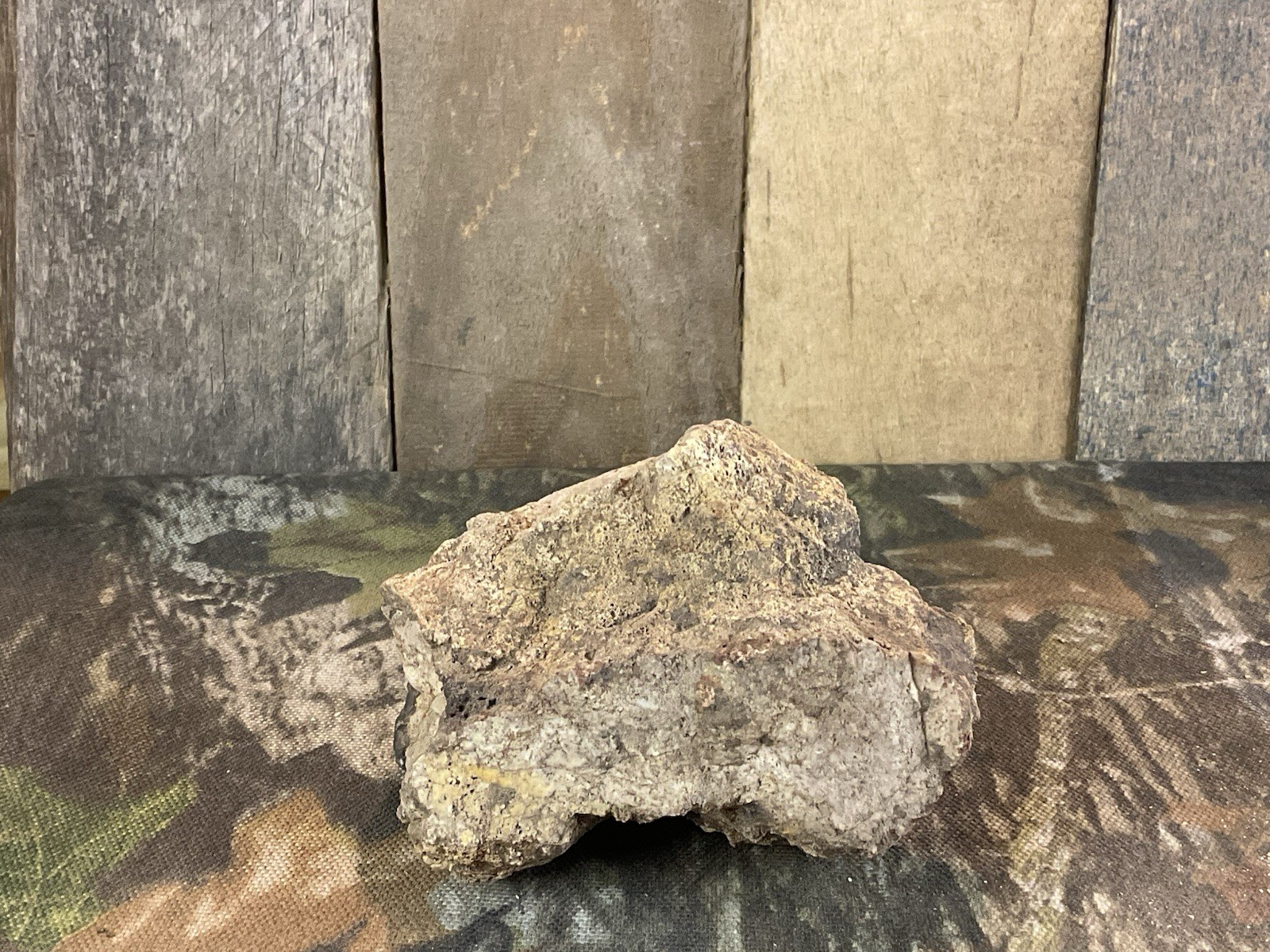 Missouri Druzy Quartz Fossilized Coral Stone Display