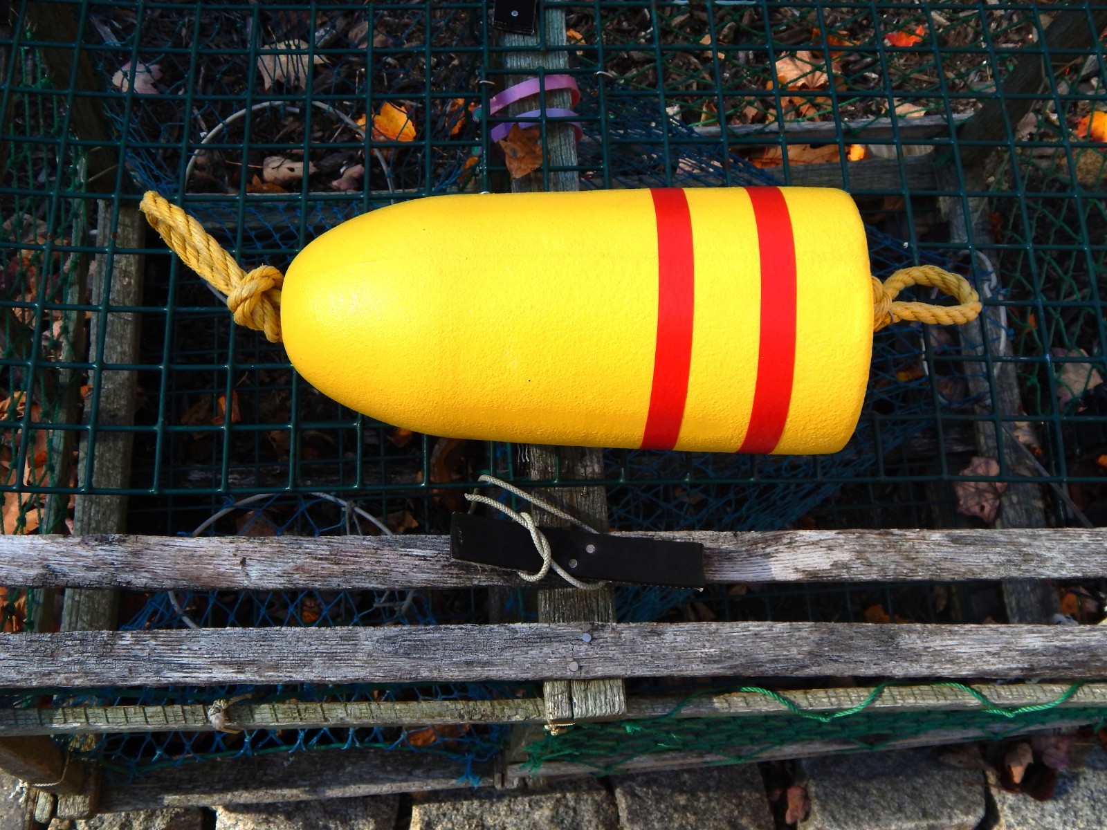FREE SHIP 205 Maine Lobster BUOY nautical pot bouy float shore crab Lake CAPE
