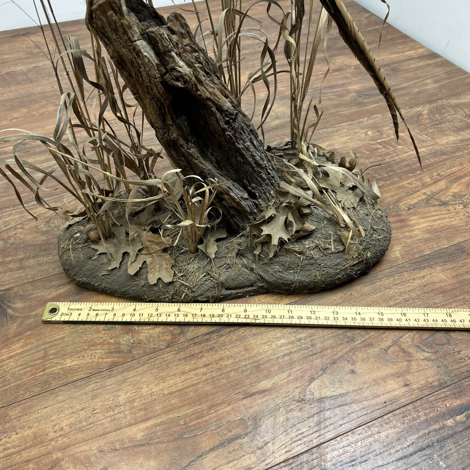 Ringneck Rooster Pheasant Taxidermy Standing Mount Habitat Base Foliage Wood