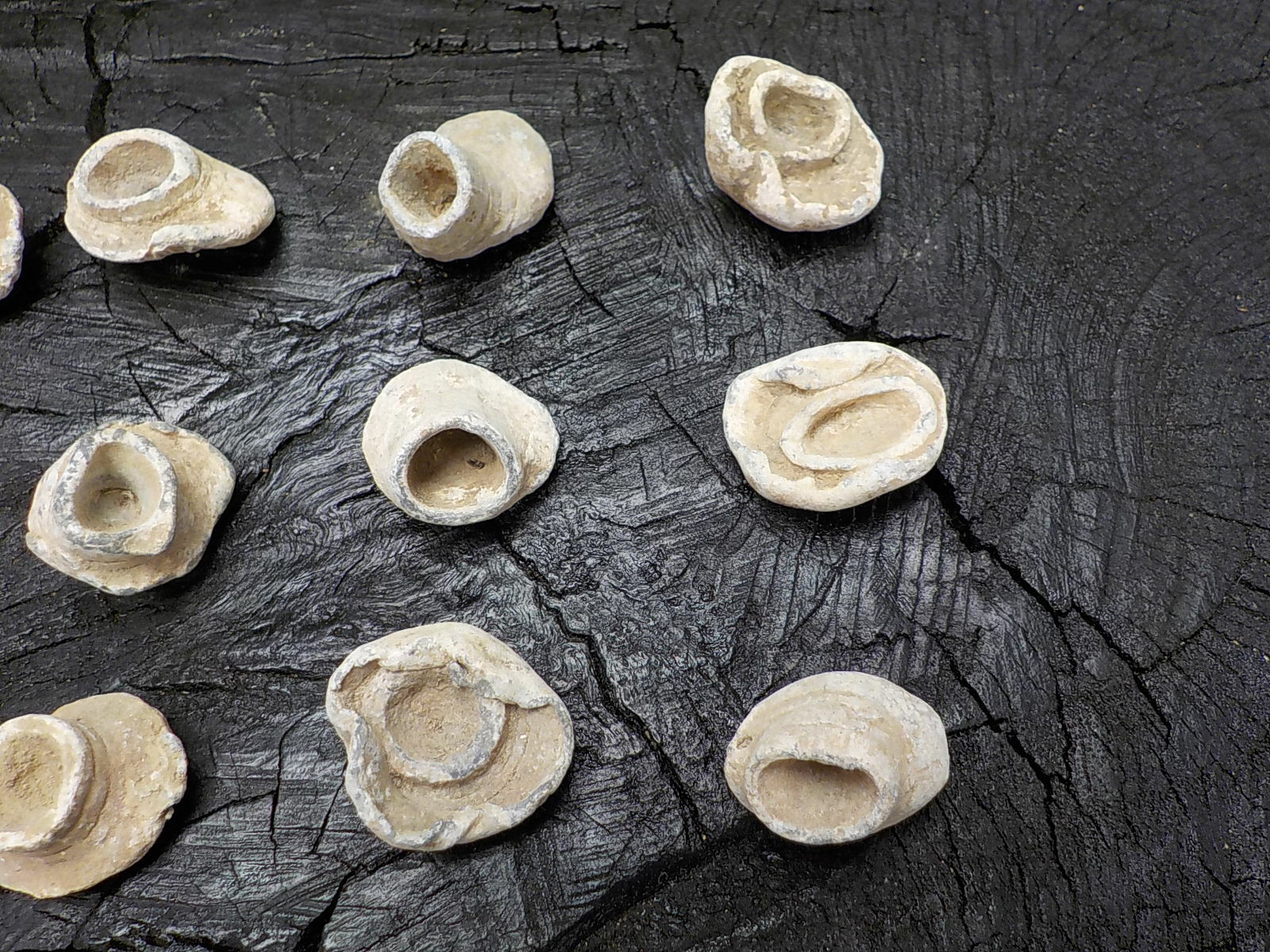 Old Rare Vintage Civil War Miniball Direct Hit Recovered in Appomattox Virginia