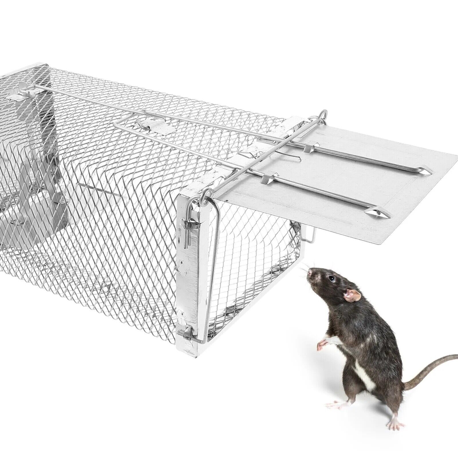 Live Animal Trap Cage Catch and Release Mice Rats Squirrels Small Animals US