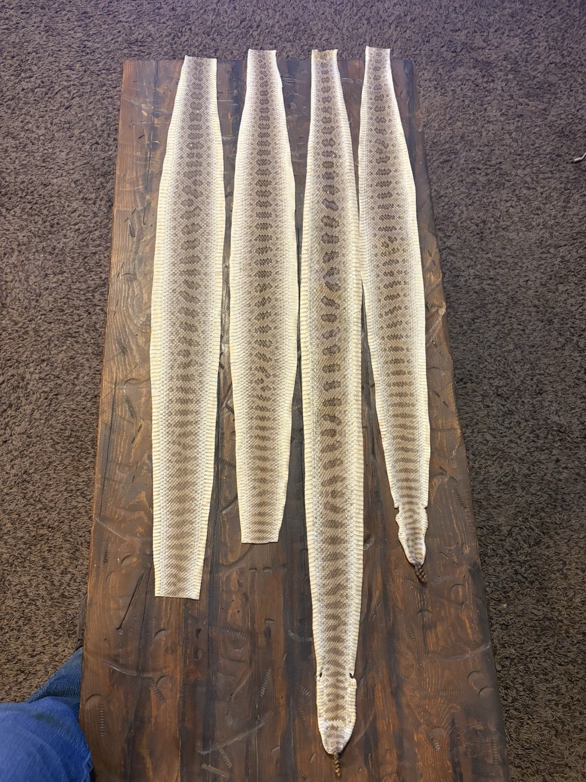 Prairie Rattlesnake Tanned Skins, Measuring 34", 40". 32.5" & 34"