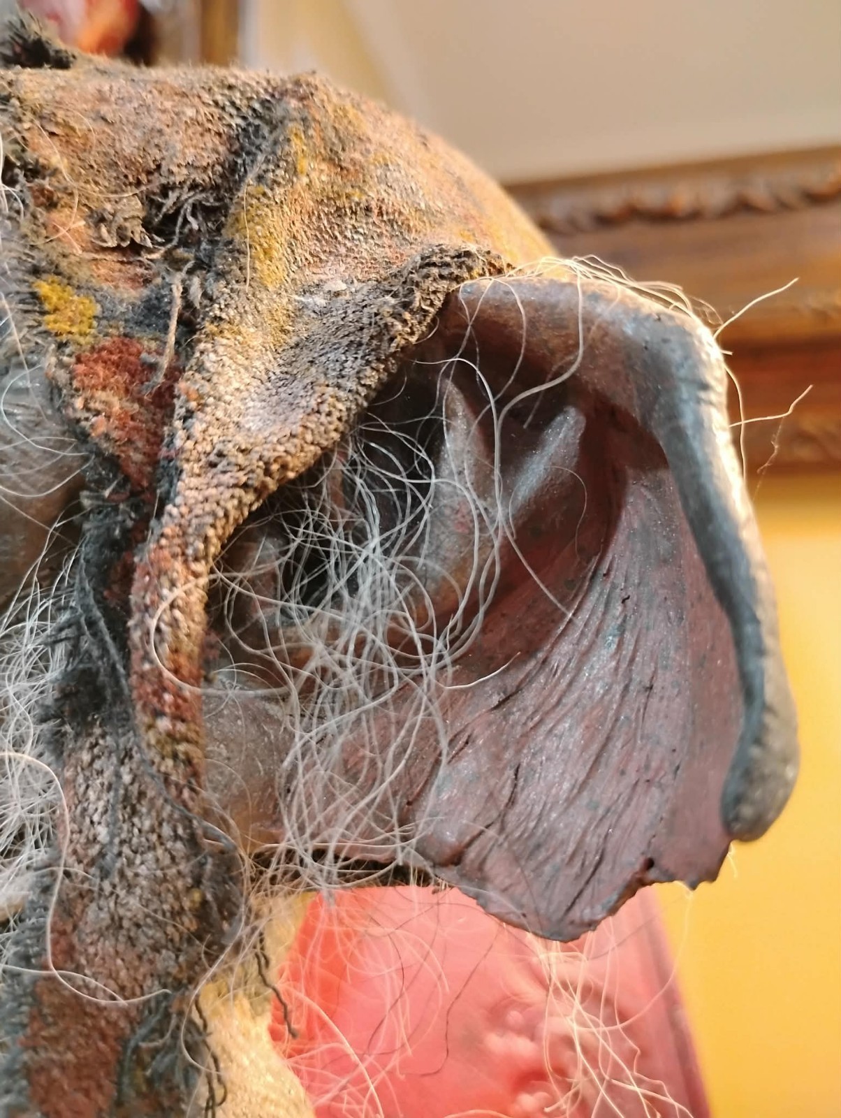 Goblin Mummified Severed Head Handmade Sculpture by Spanish Artist Moise Espina