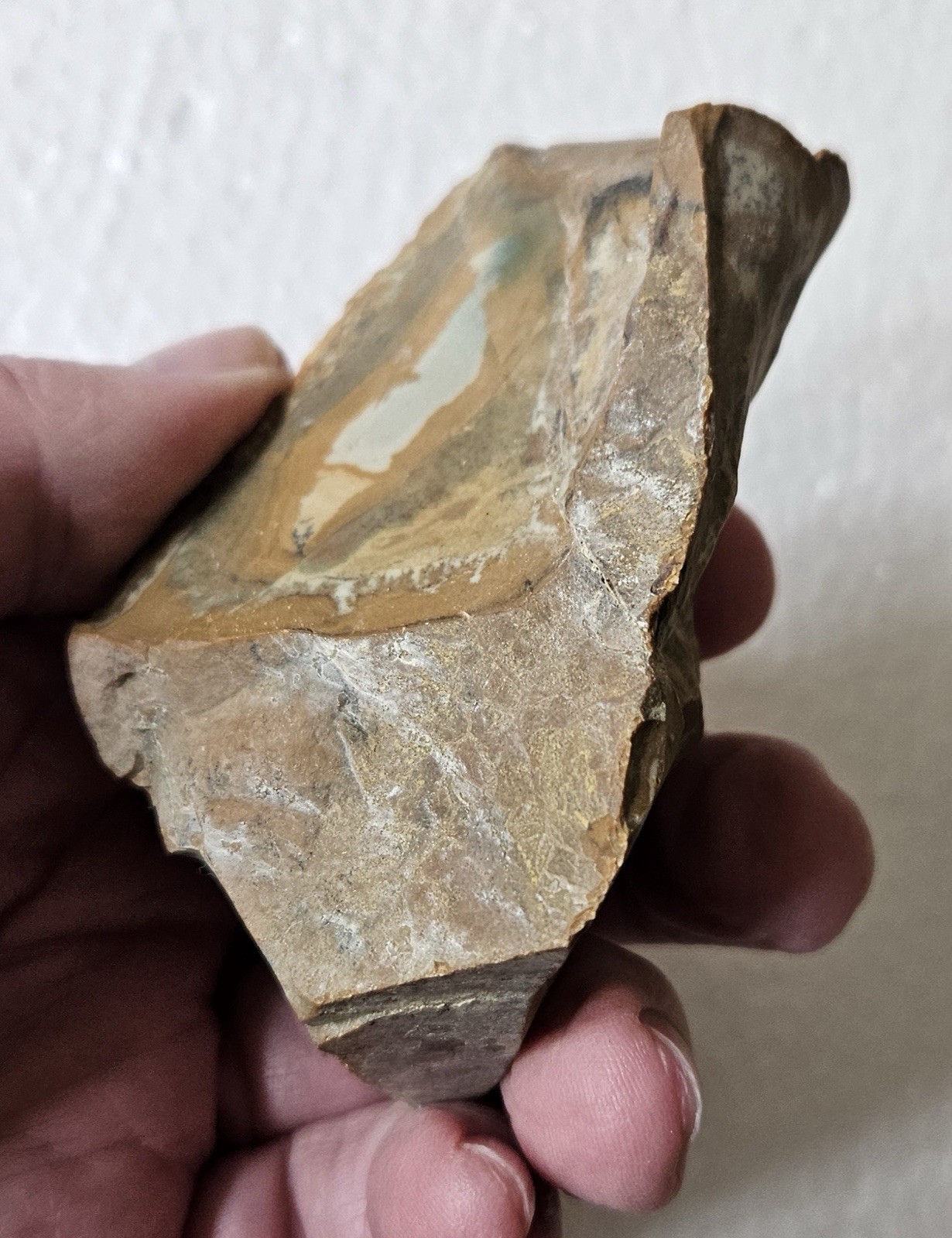 3+ Pounds Old Stock Owyhee Picture Jasper