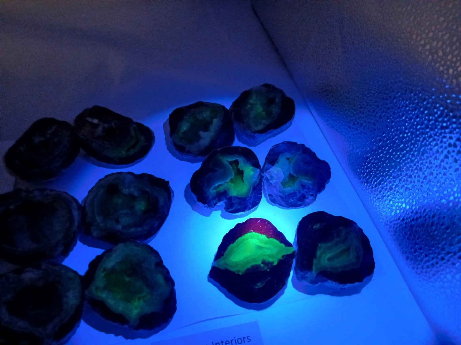 Bulk 2 Pound Group of Small Utah Dugway Geodes Thundereggs 1.50-2.00"