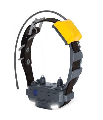 Dogtra PATHFINDER2 MINI GPS Dog Collar Tracking and Training E-Fence Receiver L