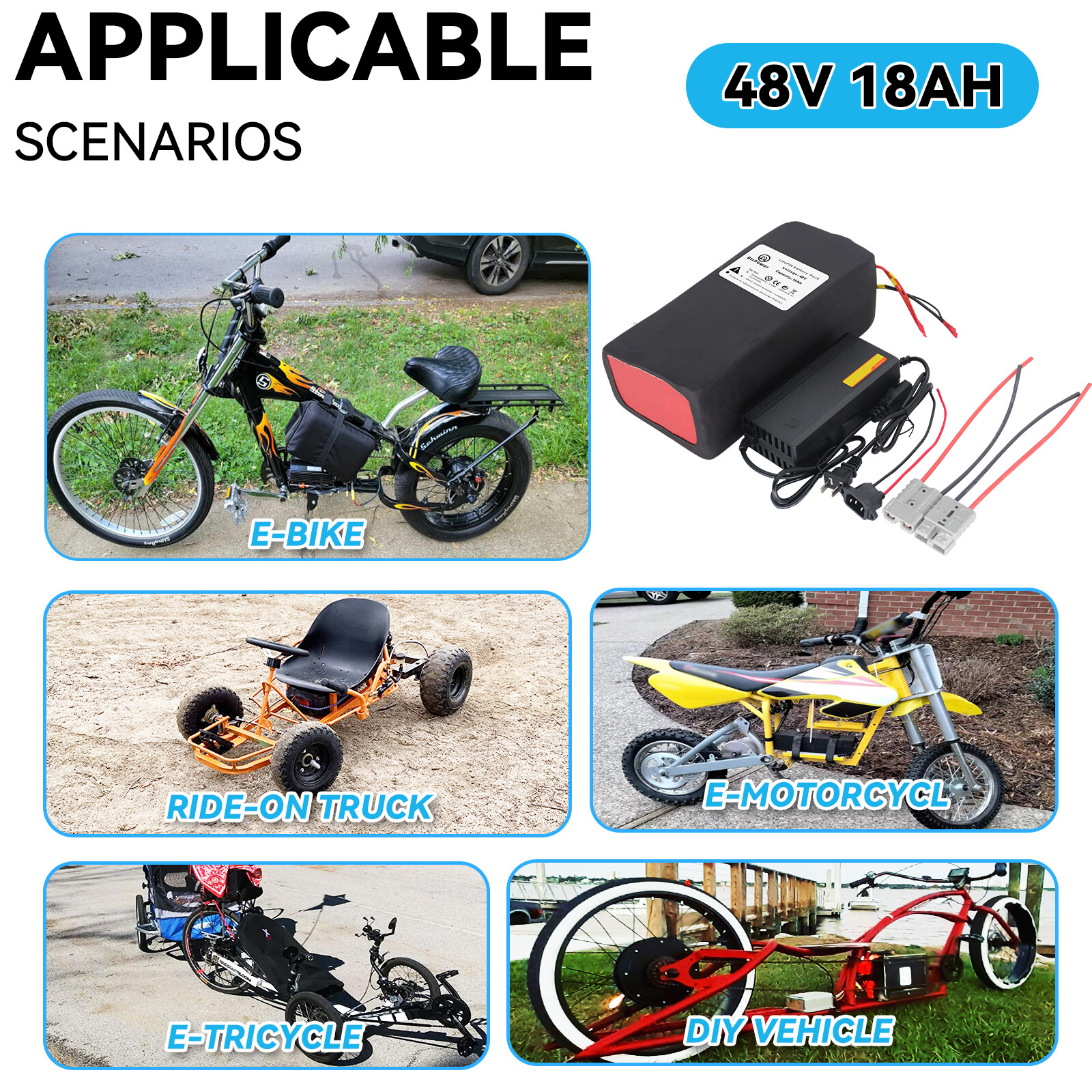 Lithium Lifepo4 48V 52V Ebike Battery 18Ah/20Ah/30Ah/35A/50A with Charger BMS