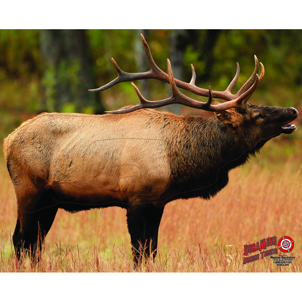 DuraMesh Archery Target Elk