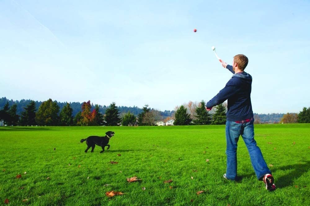 Chuckit! 18M BALL LAUNCHER 18-inch For Medium Balls - Dog Fetch Toy