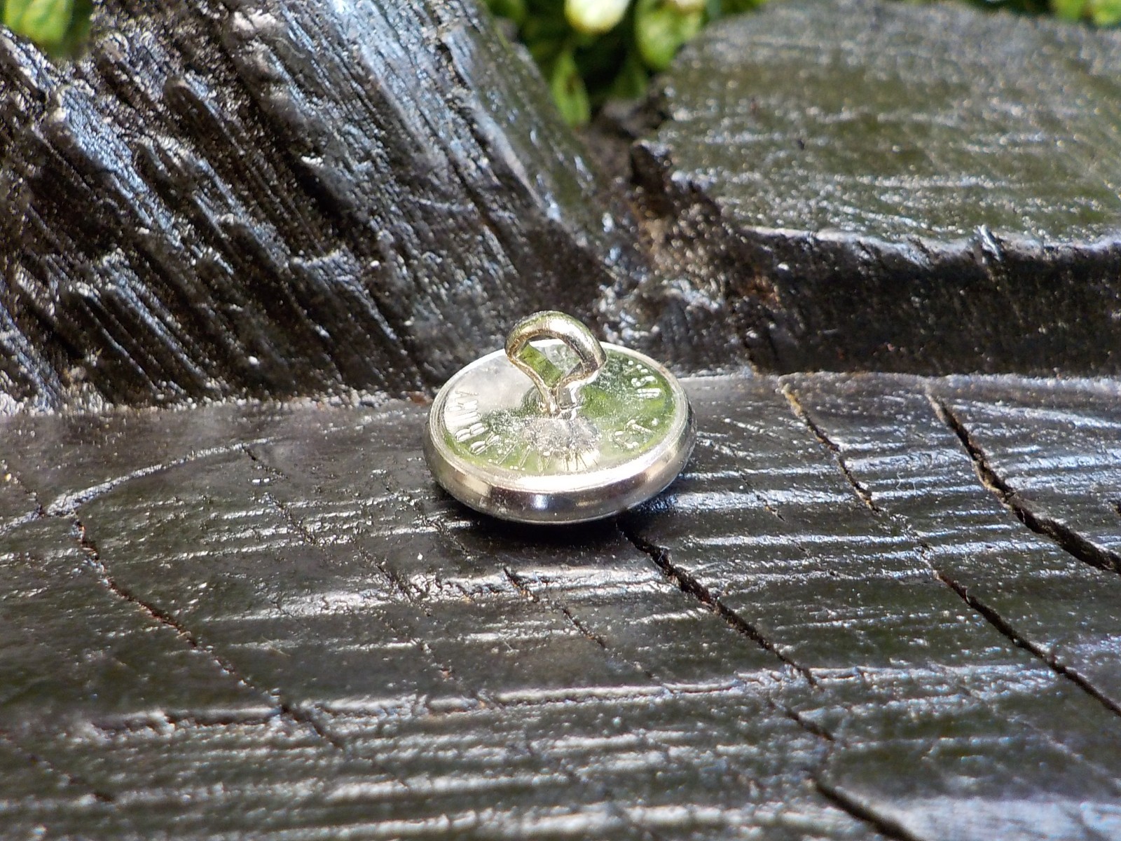 Texas State Seal Vest Button Silver Color with Free Button Case
