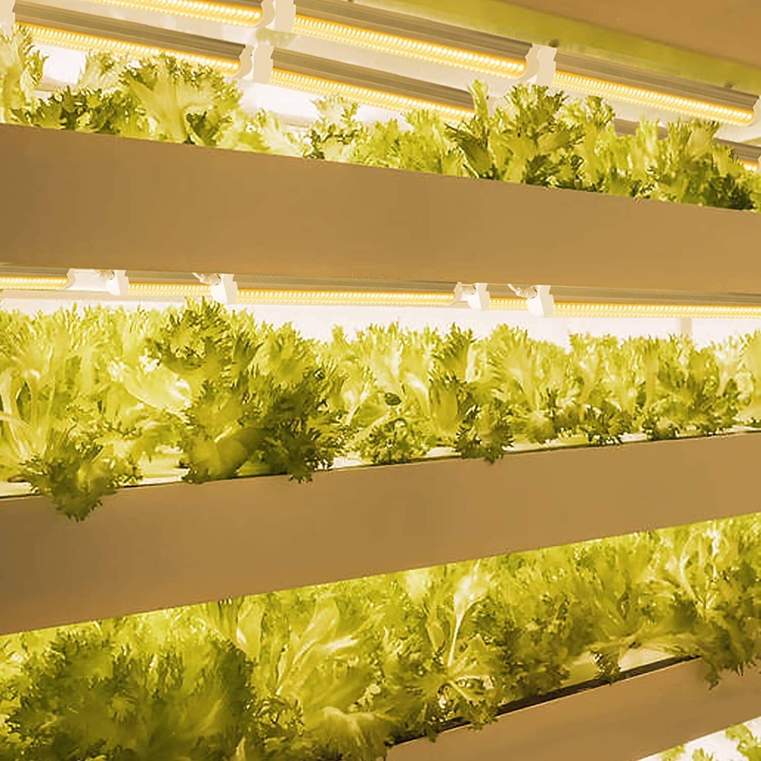 T8 4FT 50W LED Grow Lights Full Spectrum 3000K LED Tube Light Fixture With Timer