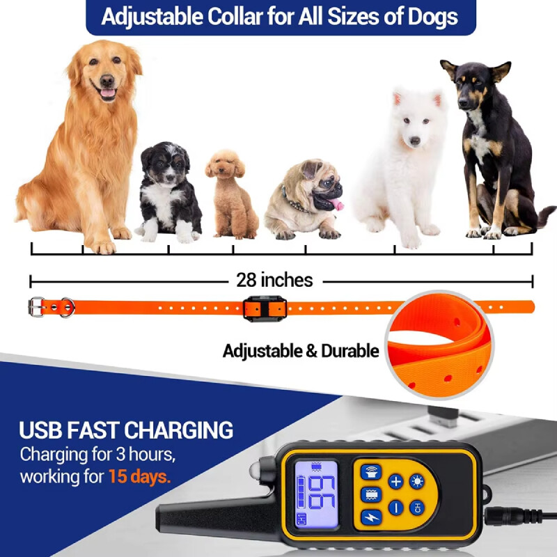 1-3 Dogs Training Collar 3000FT Remote Rechargeable Shock Dog Waterproof Trainer
