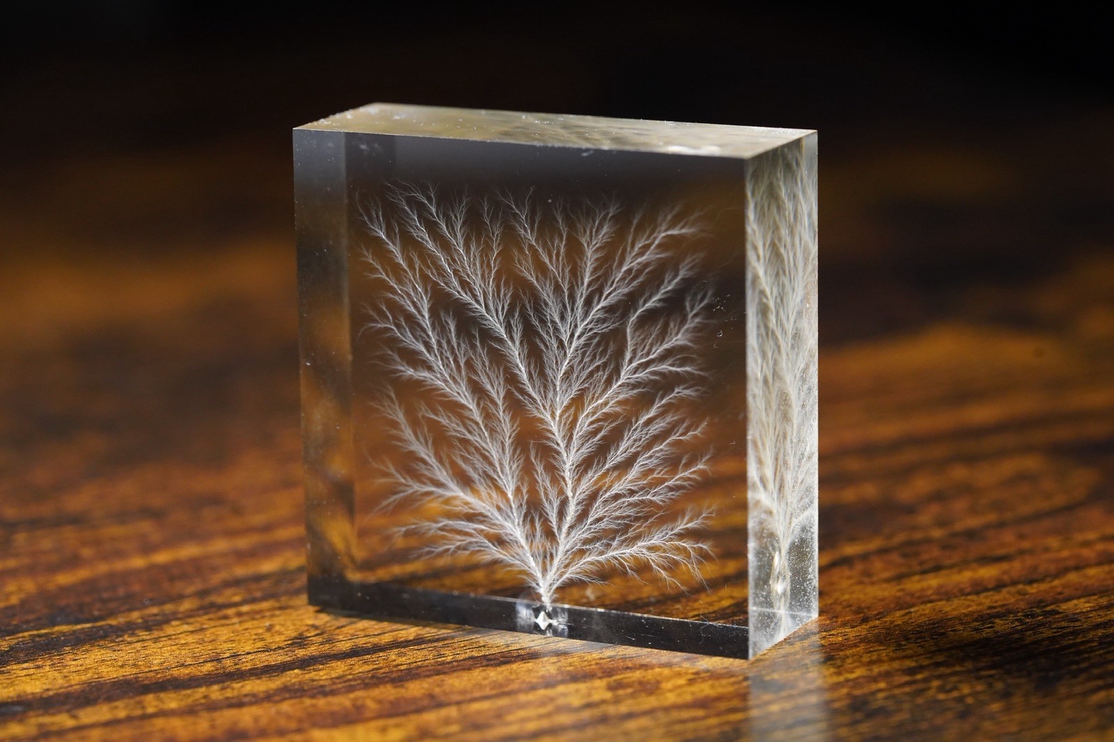 Frozen Lightning / Lichtenberg Figure 2" x 2” x 0.75" Physics Sculpture