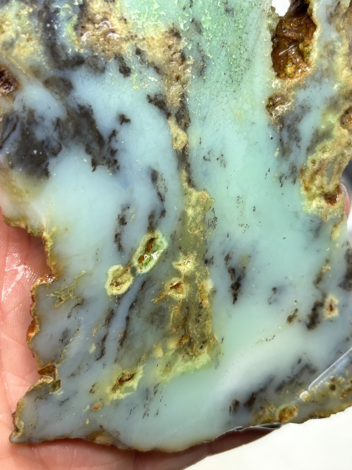 Indo Dendritic Chrysoprase Slab Cabbing Lapidary Collecting Combo Ship Avail