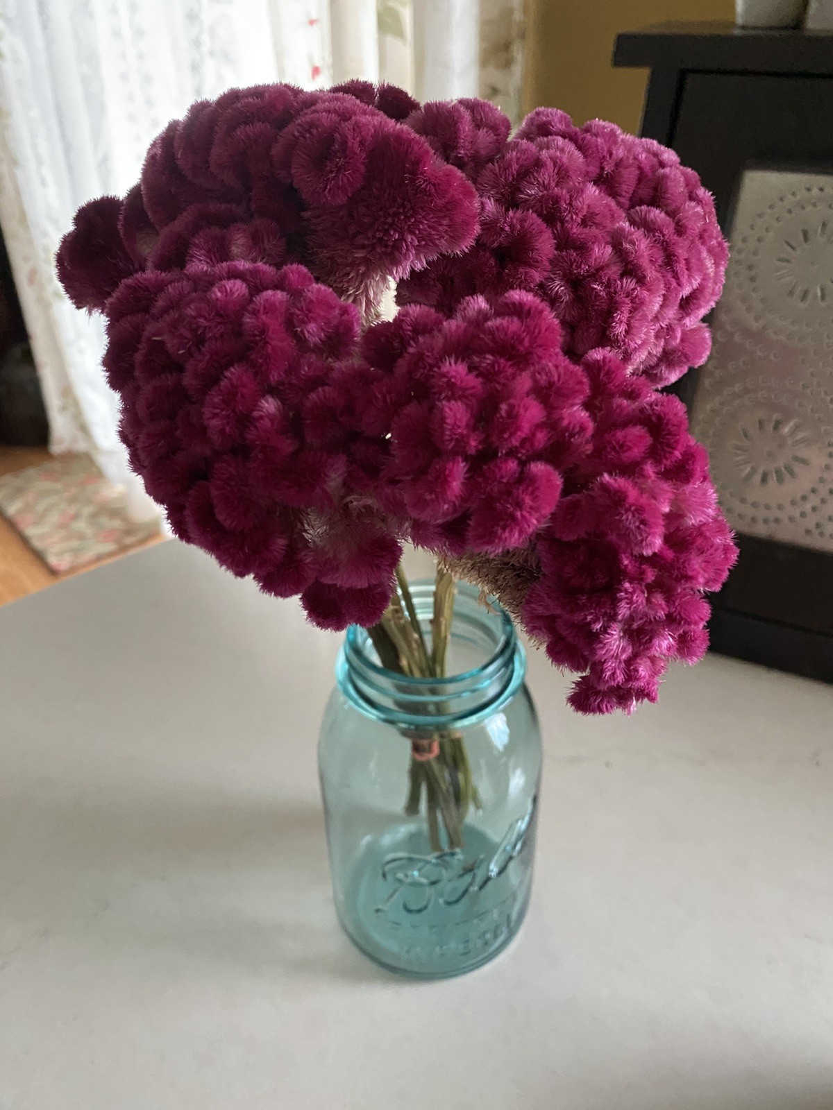 COCKSCOMB Celosia DRIED FLOWERS  Bunch BOUQUET Bundle Wedding Assorted PINK HUES