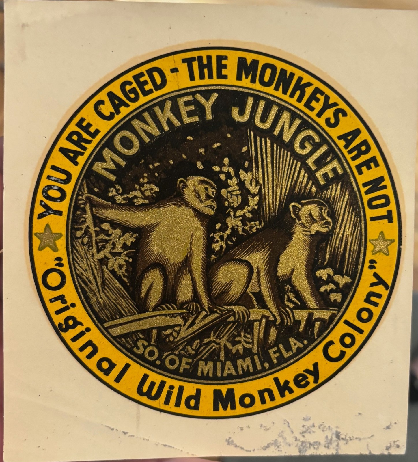 Vintage 1950s Miami Florida Monkey Jungle Souvenir Decal