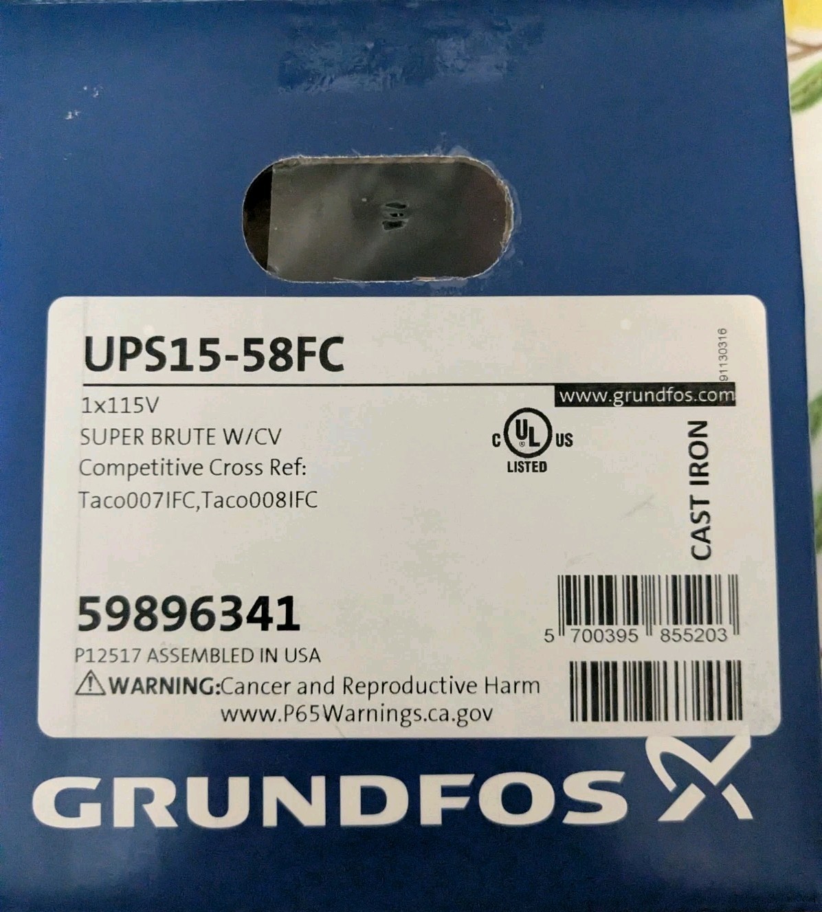 Grundfos UPS 15-58 FC Circulator Pump (59896341)