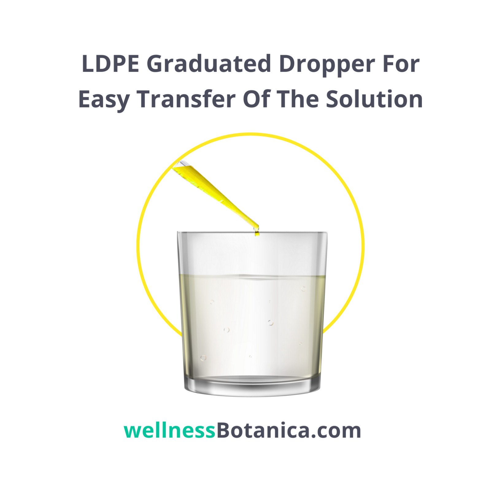 CDS Water Purification ( 16oz 500ml ) Solution Ready to Use (Glass Bottle)