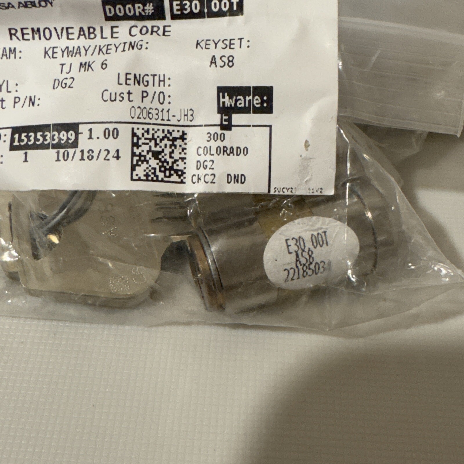 Sargent Assa Abloy Removable Core Large Format Cam Cylinder DG2630015 W/2keys B7