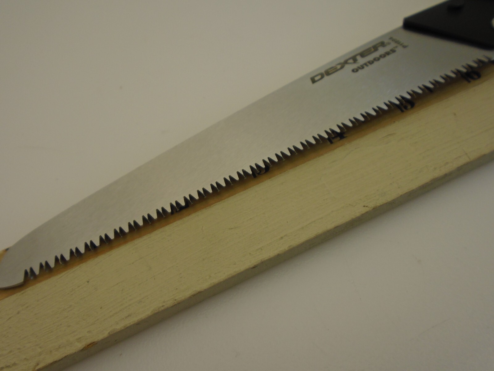 Dexter Basics Outdoor Series Field Hunting Bone Saw 6-inch P11894 Deer Game New