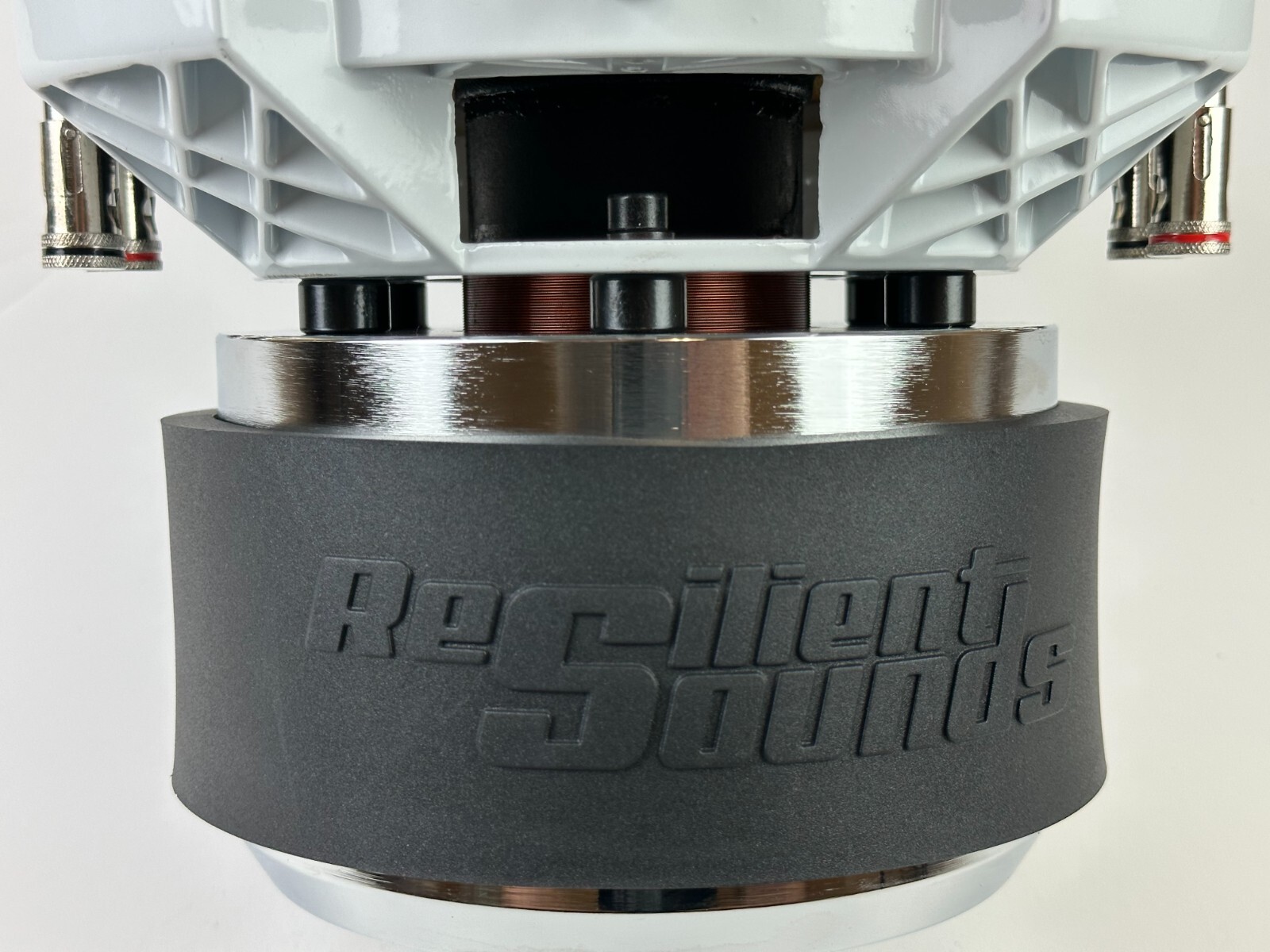 Resilient Sounds GOLD 10 1,000RMS/2000Watt Peak (D4 OHM LOAD) 10inch subwoofer