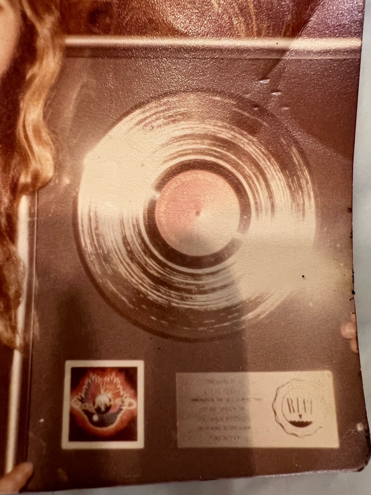 Rare Signed Journey. Steve Perry July 23 1979 Original Photos + Backstage Pass