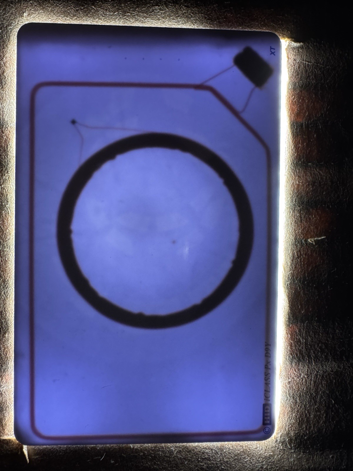 HID iCLASS PicoPass 2120AGGNNN (Unprogrammed) (Proxmark3 Compatible)