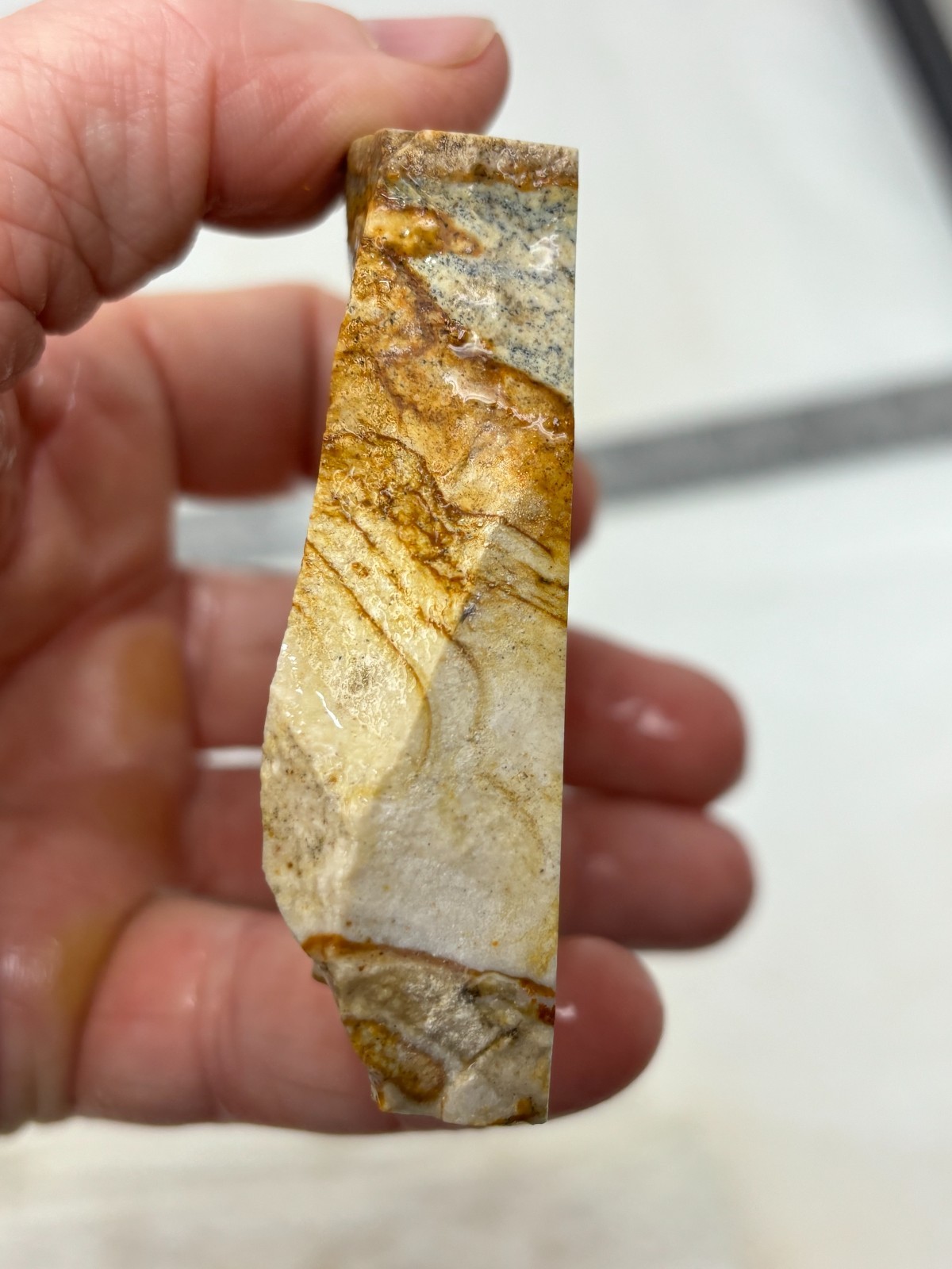 Disaster Peak Picture Jasper end slab Cabbing Lapidary Collecting Combo Ship Avl