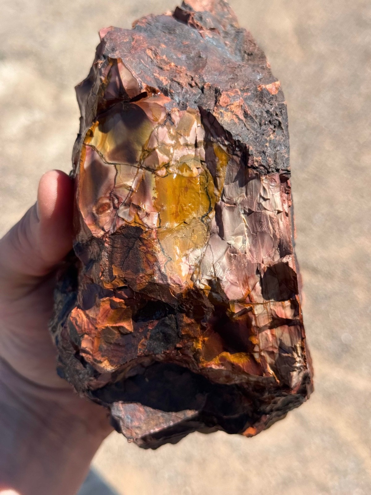 Dead Camel Jasper rough 21 pounds