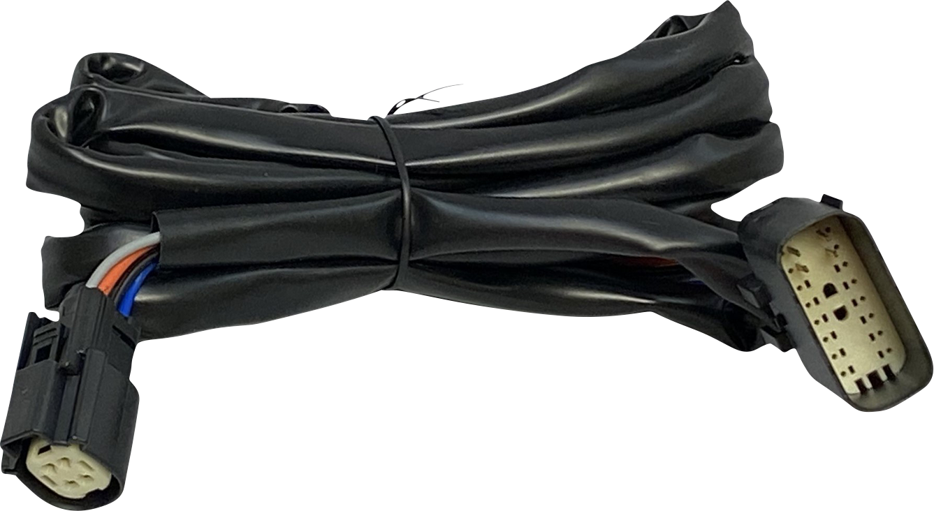 Custom Dynamics Rear King Tour Pak Speaker Harness for 2014-23 Harley Touring