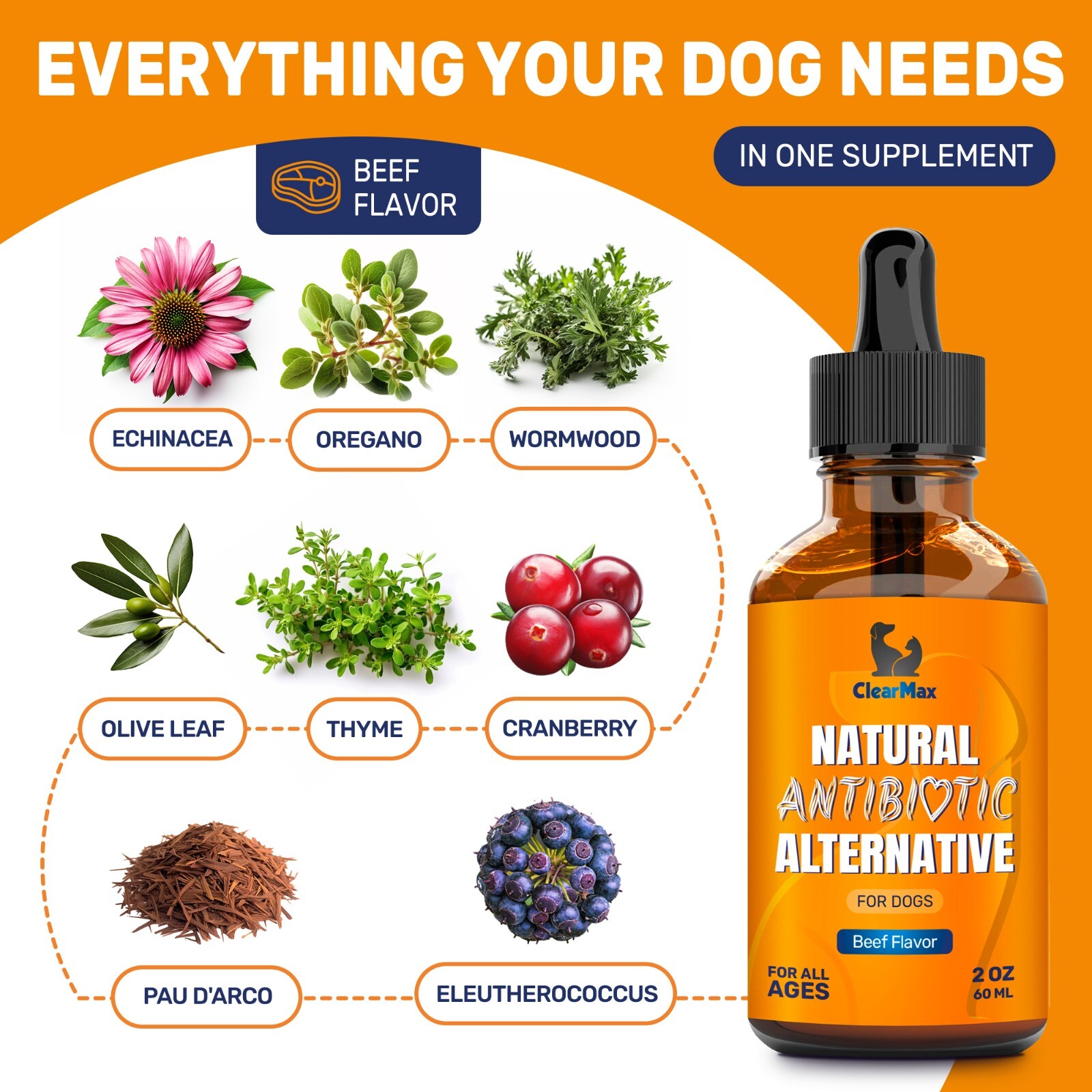 Natural Antibiotics for Dogs | Allergy & Infection Relief | Beef Flavor | 2 Oz
