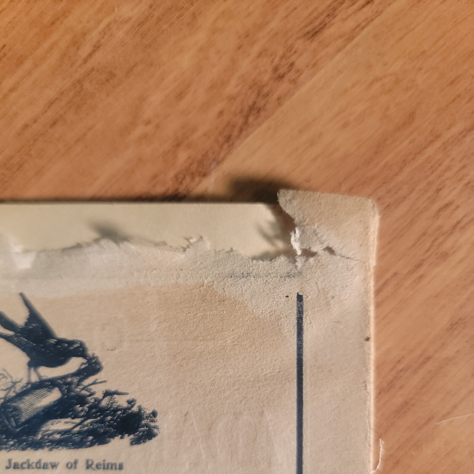 Antique 1910 New York Hippodrome Theatre Playbill Advertising Booklet