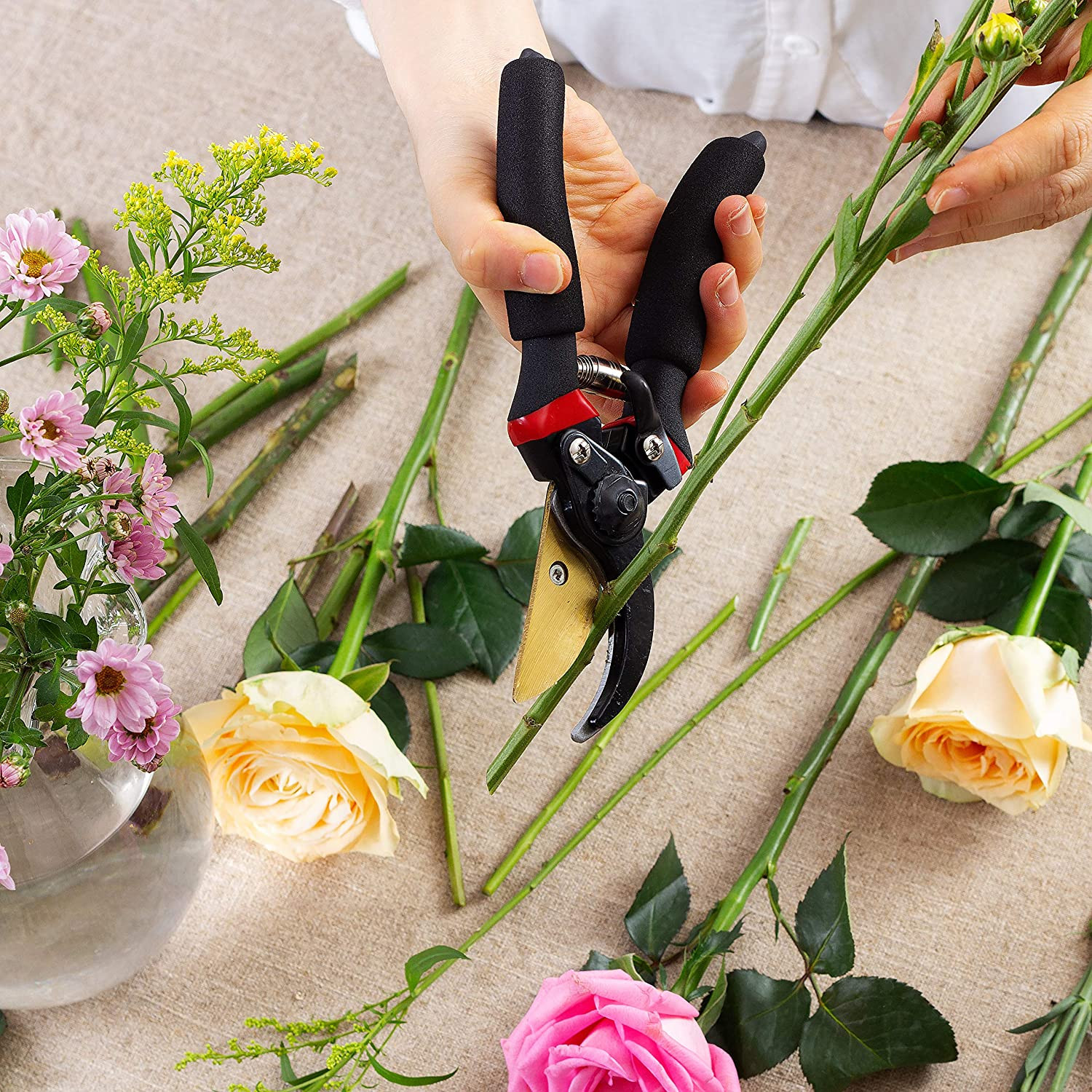 - Pruning Shears Garden Shears 8 Professional Titanium Blade Garden