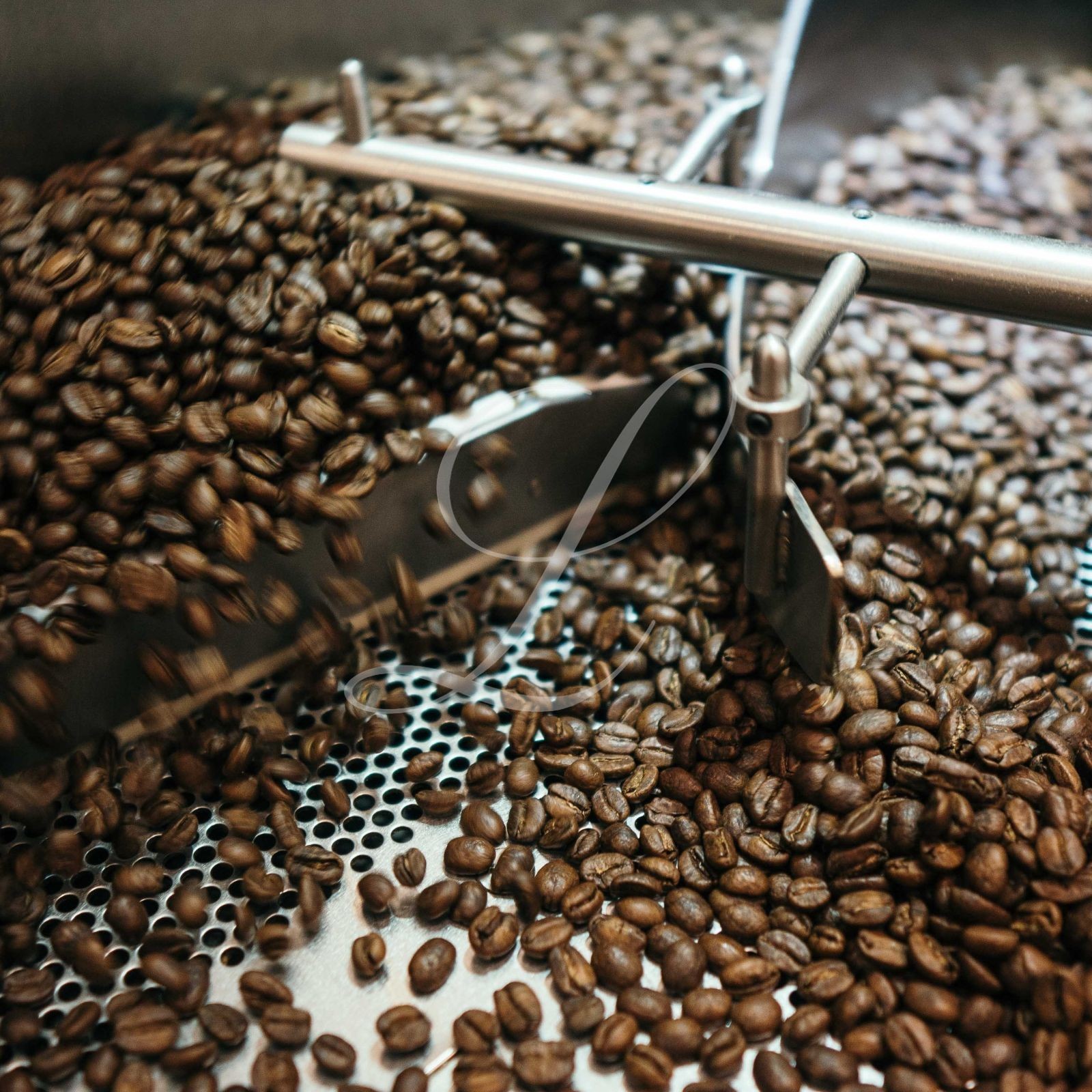 100% Kona Extra Fancy Coffee, 5 lbs, Green Beans or Medium Roasted to Order!