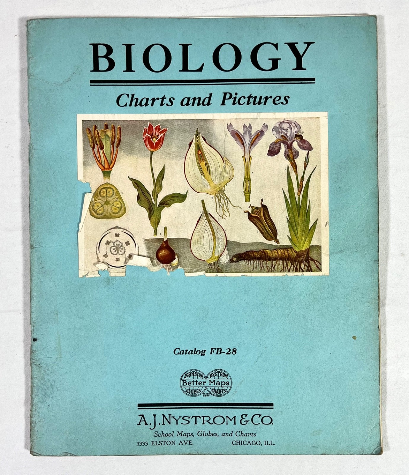 Rare 1928 A.J Nystrom Sales Catalog FB-28 Europe Charts Biology Medical Anatomy
