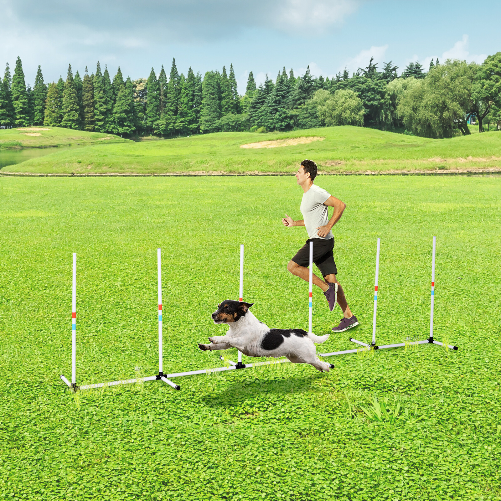 Dog Weave Pole Set Agility Starter Kit Pet Outdoor Exercise Training Set