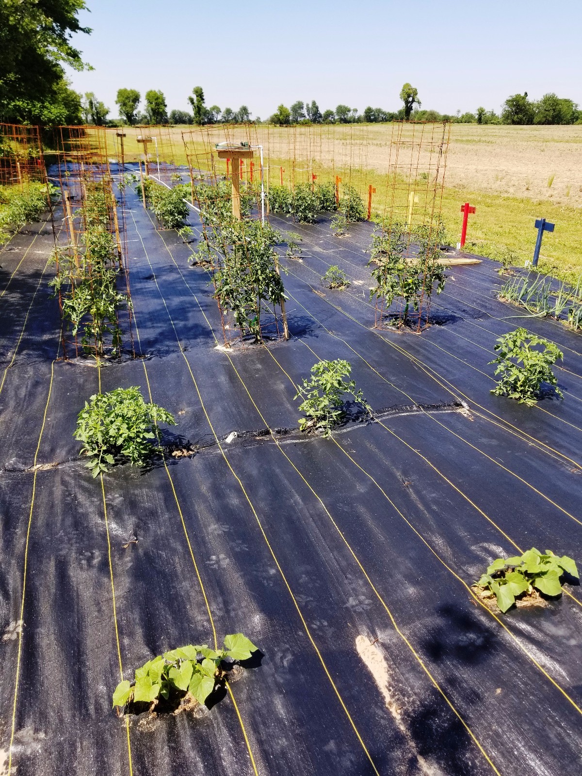 DeWitt Woven Ground Cover Landscape Fabric SUNBELT 12'x100' 3.2 OUNCE FOLDED!!