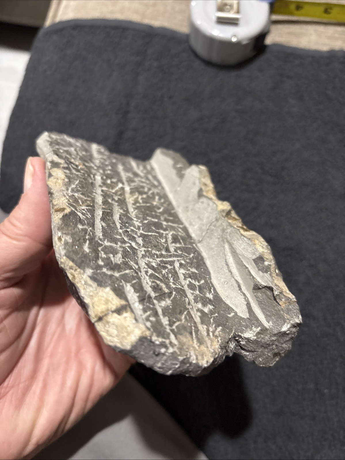 Really Nice Symmetrical 4 1/4+ Inches A Bit Shiny Oddly Cut Underneath Drotops