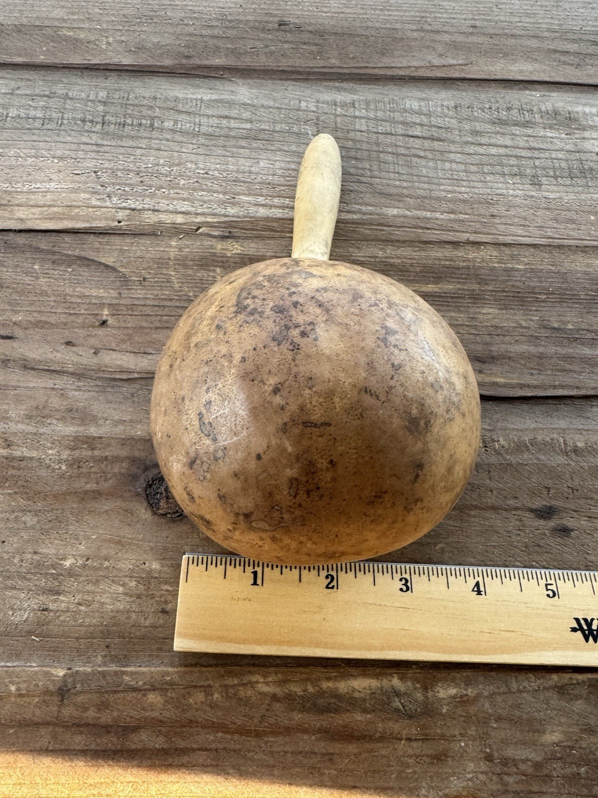 Vintage Decorated Gourd Rattle Turtle Design Folk Art Handcrafted