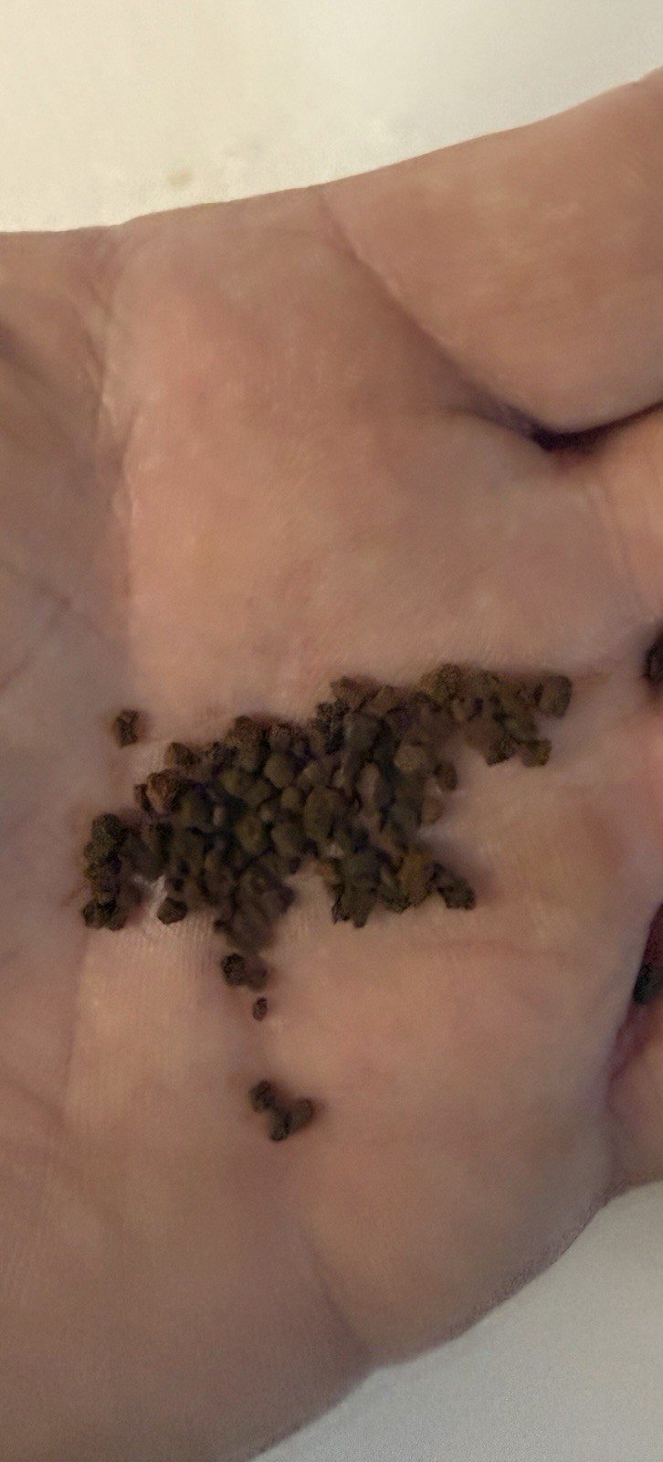 Granular Ferric Oxide (GFO) Phosphate Removal, 295 ML Free Shipping!