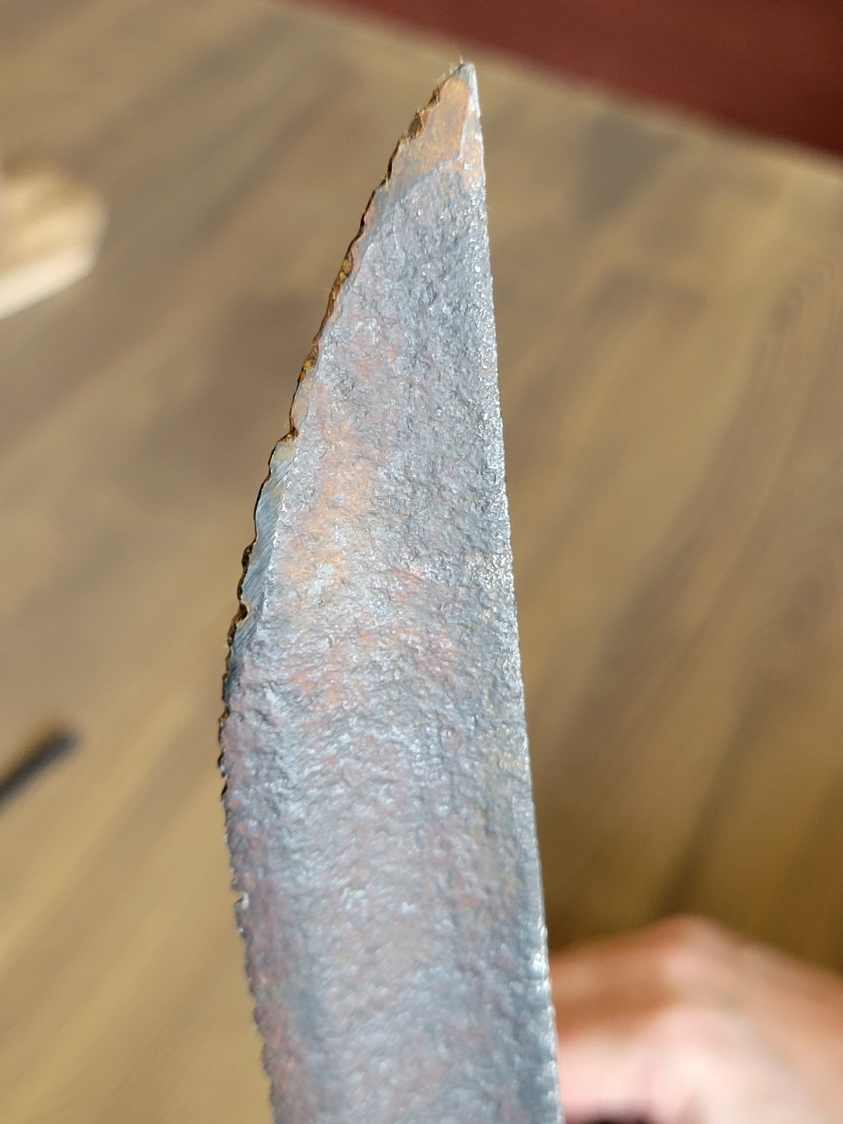 Napoleonic War-Civil War French Saber Cut-Down