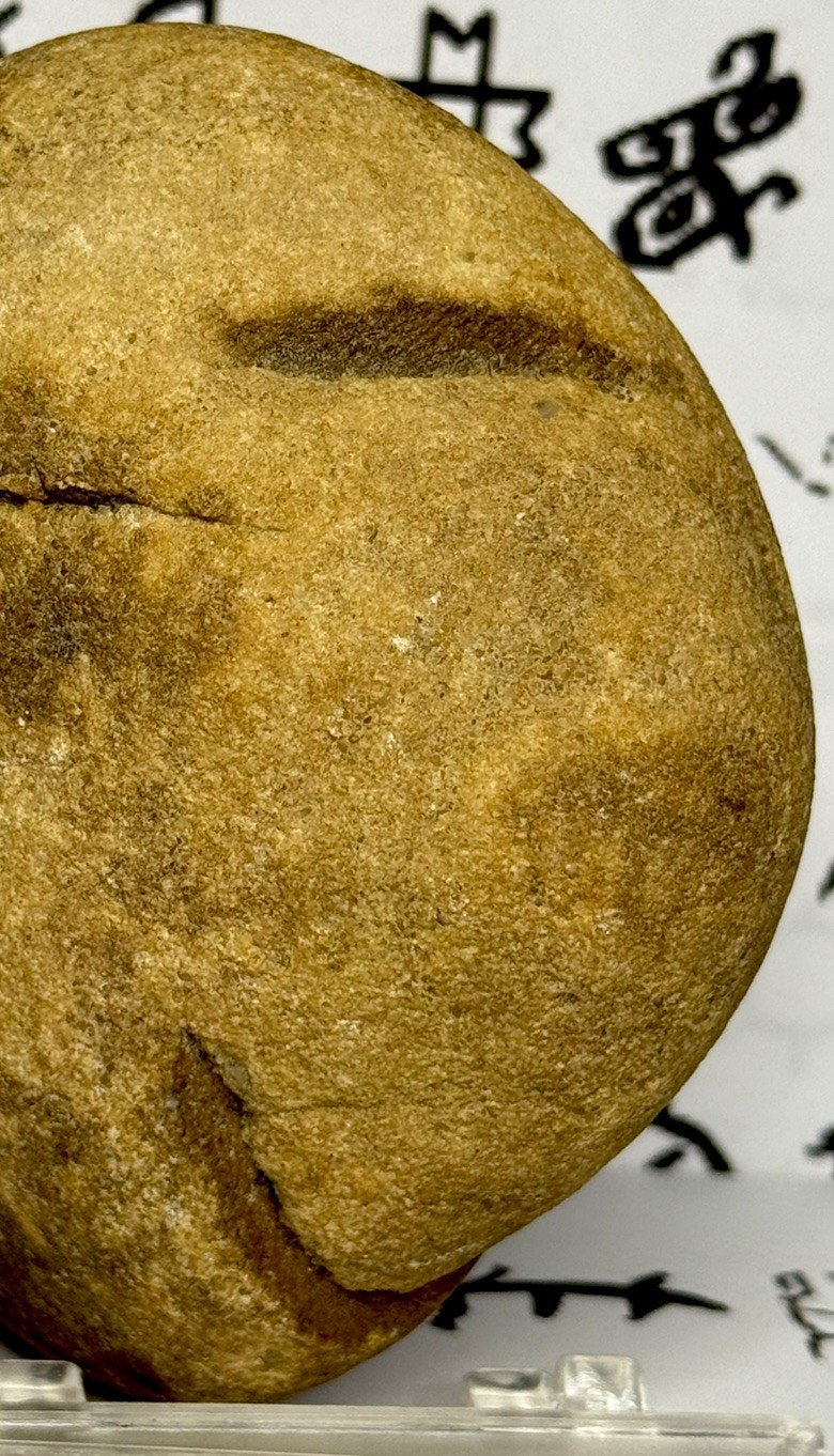 Native American Indian Authentic Artifact Stone Carved Effigy, 1 lb 10 oz • VA