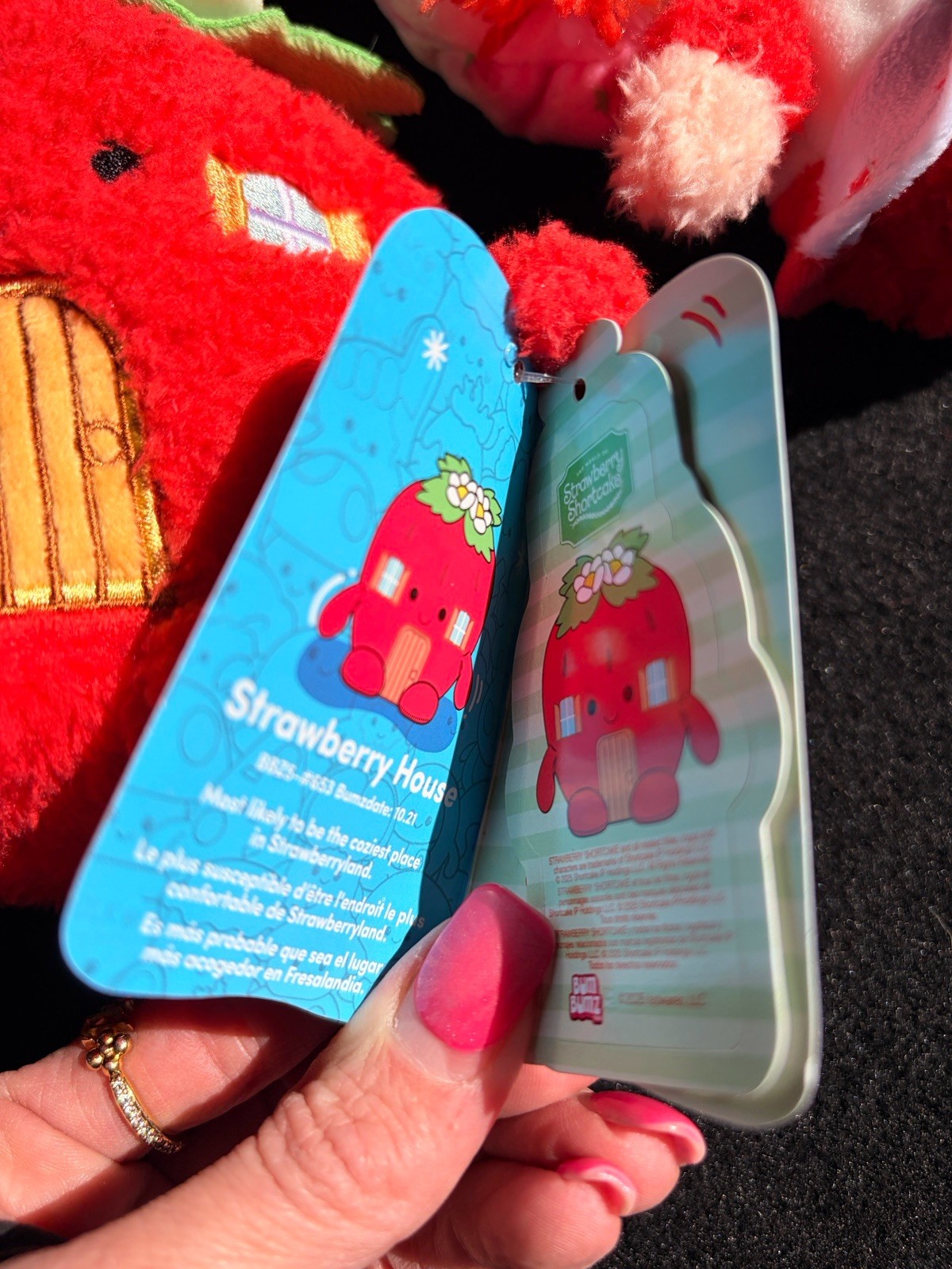 BumBumz Strawberry Shortcake & House Plush Set Of 2 Bum Bumz NEW