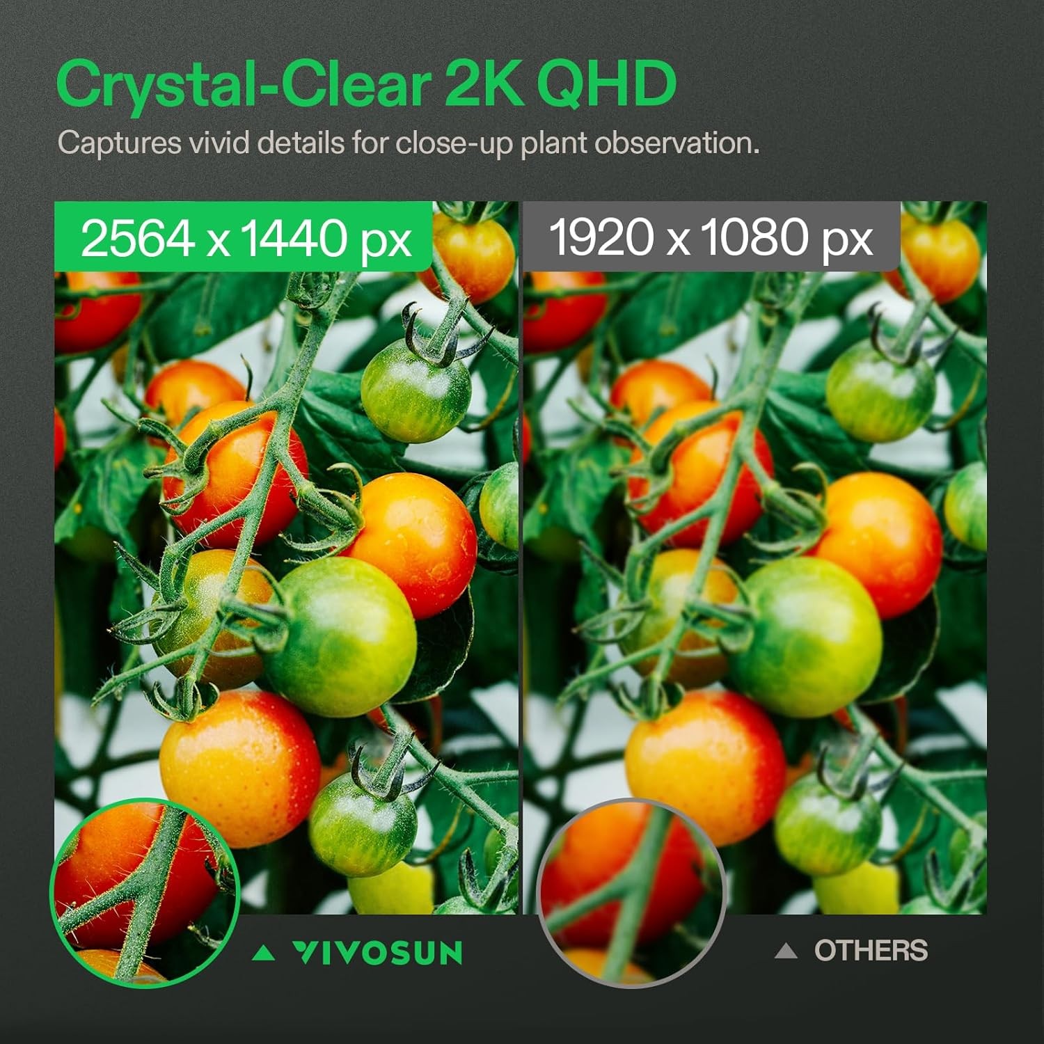 VIVOSUN GrowCam C4 2K QHD WiFi Smart Camera for Grow Tent & VGrow Smart Grow Box