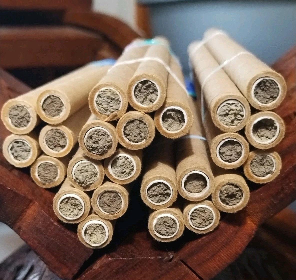 GARDENER GIFT! 5 Tubes LIVE 2025 BLUE ORCHARD MASON BEES COCOONS Spring Emerge