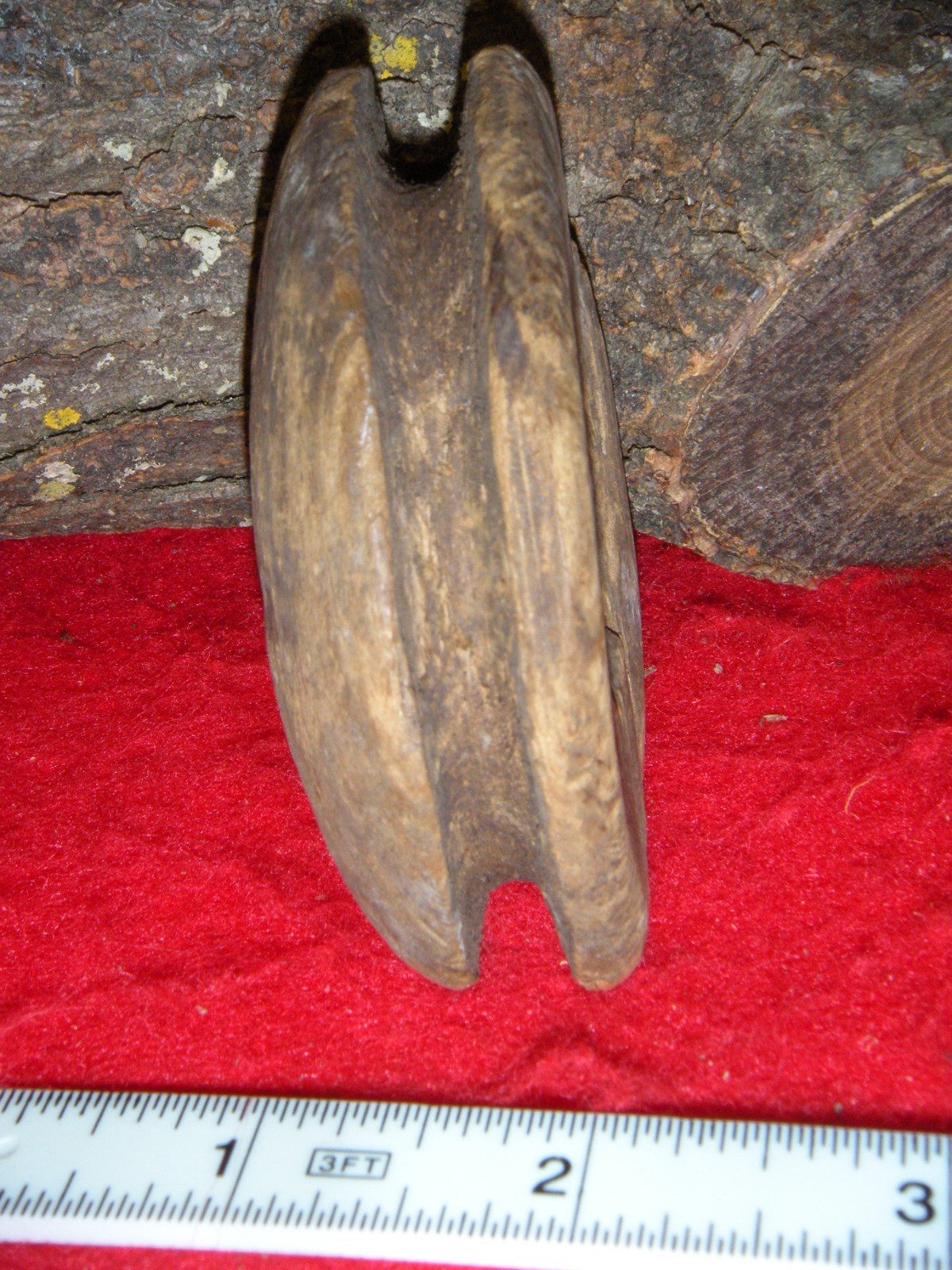 ESKIMO ARTIFACT SEAL FLOAT INFLATOR BERING SEA THULE CULTURE 1600'S SEAL FLOAT