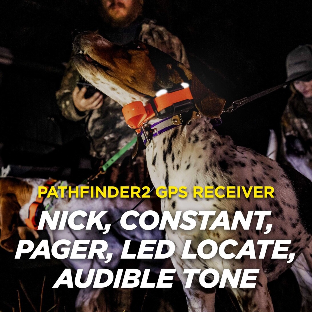 Dogtra PATHFINDER2 GPS Dog Tracking & Training Collar E-Fence LED Light