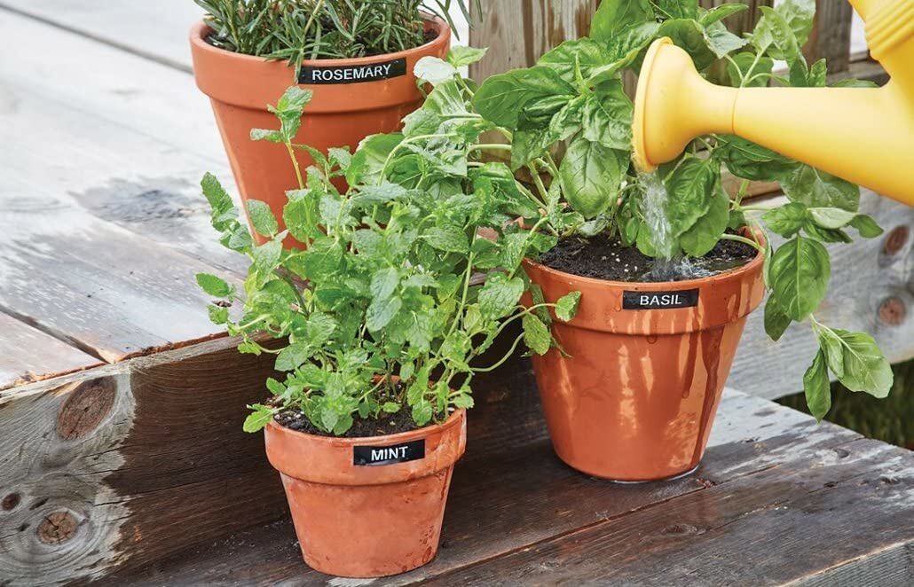 6PK TZ TZe 335 White on Black 1/2'' Label Tape for Brother P-Touch PT-300 1100